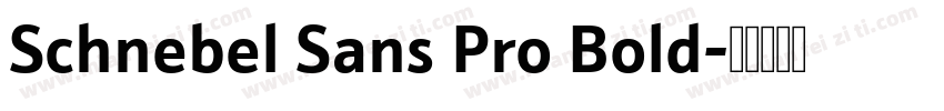 Schnebel Sans Pro Bold字体转换